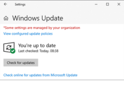 Atualização do Windows quebrou meu computador: O que fazer?